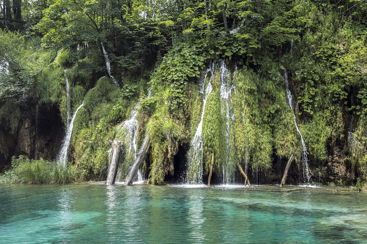 A view of a tropical waterfall.