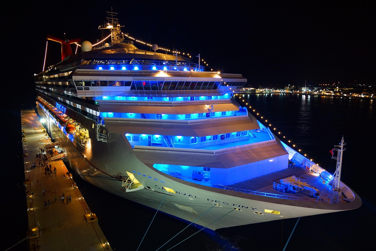 Docked cruise ship at night.